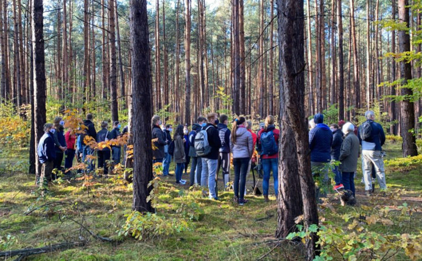 Rotary im Wald