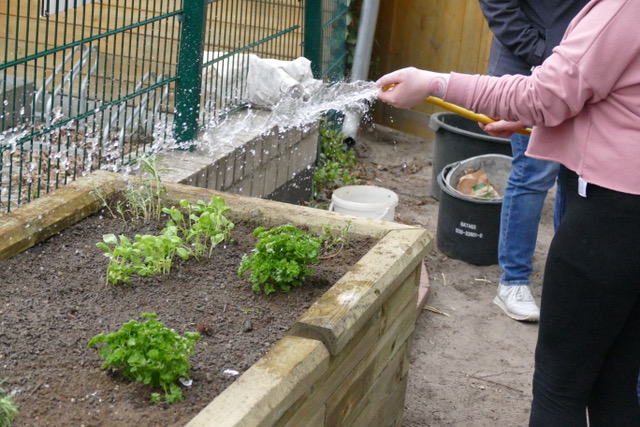 Happy Soil, Happy Life – Ein Hochbeet für die Casablanca-Kids