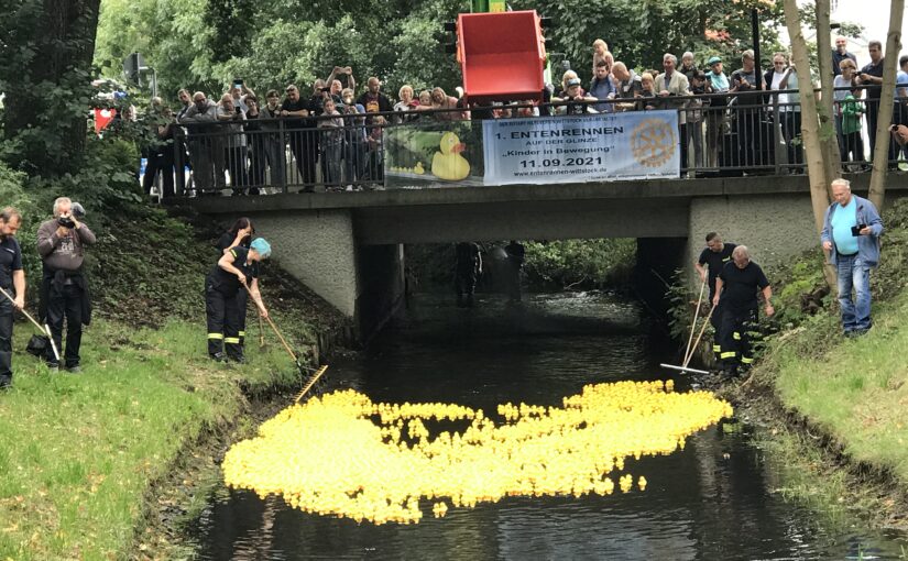 3100 Enten errennen 15.500 Euro