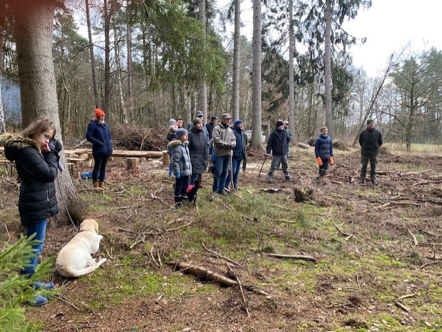 Rotary packt an: Der Wald muss klimastabil werden