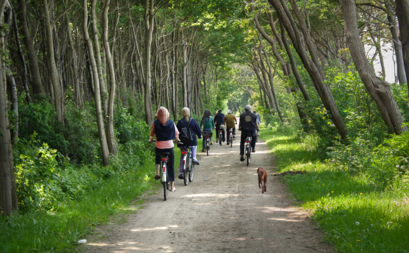 Fünf Clubs machen Fahrradkorso für Shelterbox