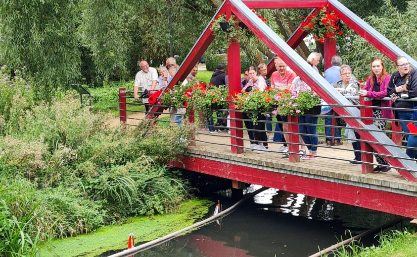 Drei Mal und immer größer: Entenrennen des Rotary Clubs Wittstock